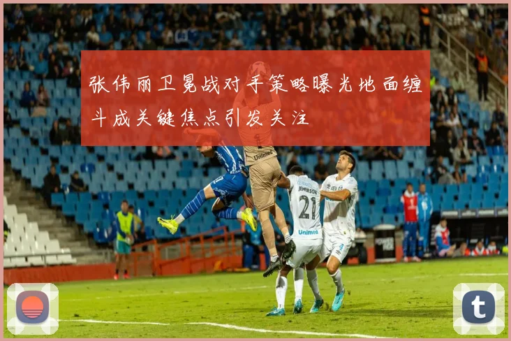 张伟丽卫冕战对手策略曝光地面缠斗成关键焦点引发关注